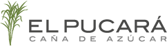 Logo El Pucará